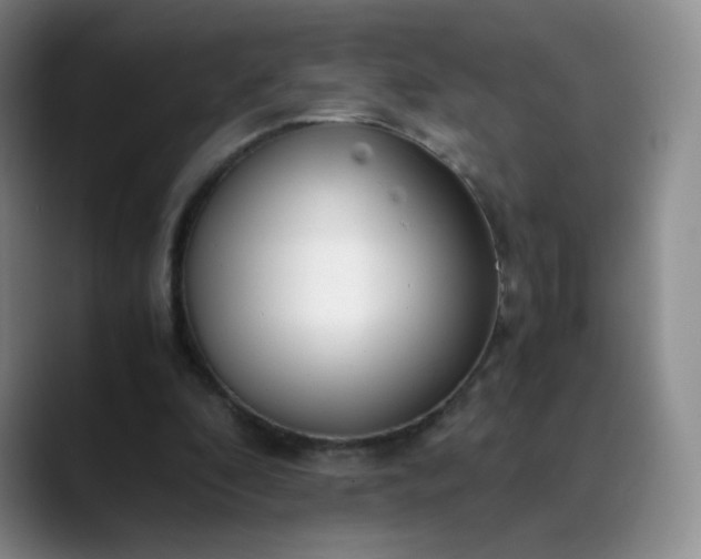 X0000089890296200707121836