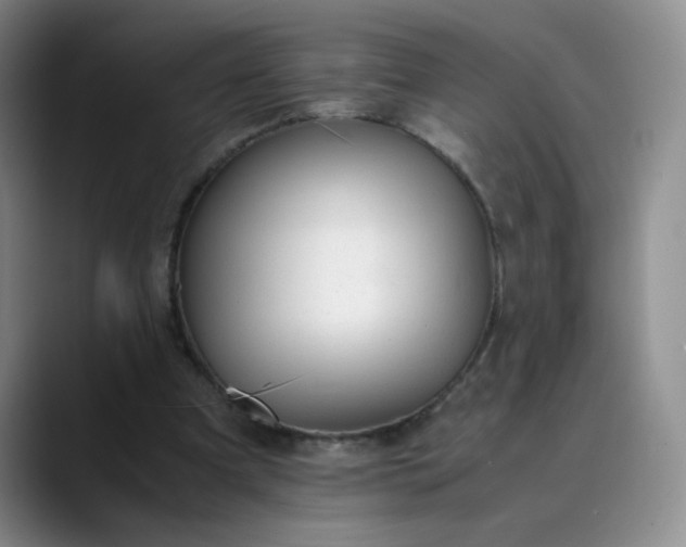 X0000089890297200707121836