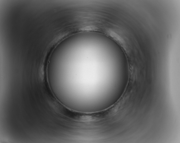 X0000089890298200707121836