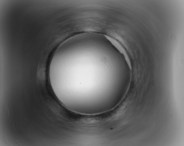 X0000089890299200707121836