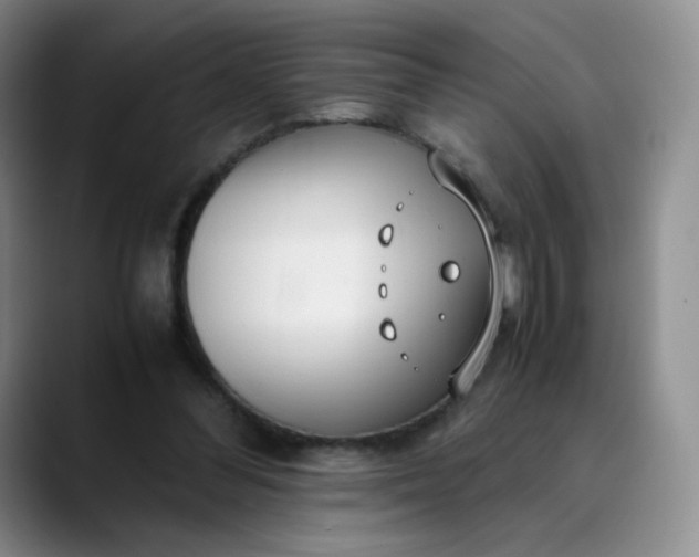 X0000089890300200707121836