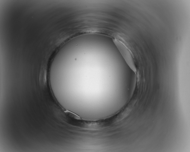 X0000089890301200707121836