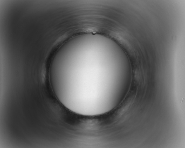 X0000089890304200707121836