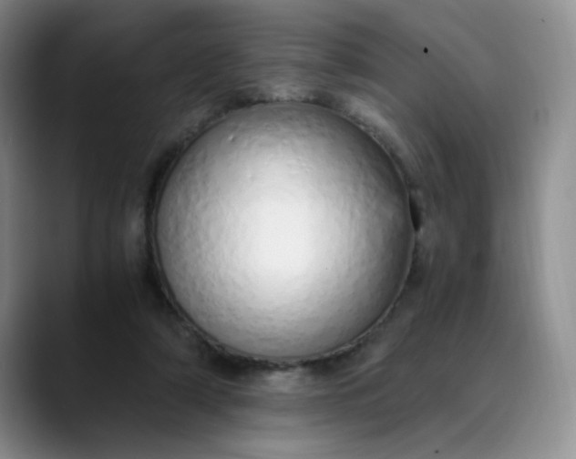 X0000089890306200707121836