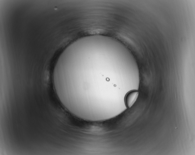 X0000089890308200707121836