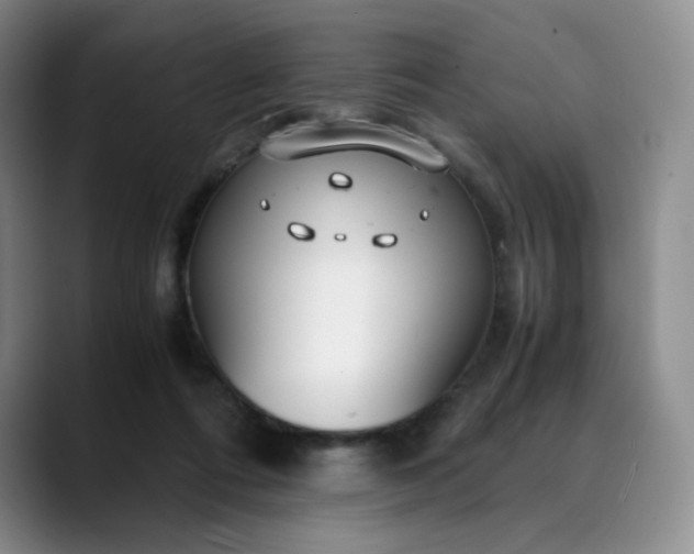 X0000089890312200707121836