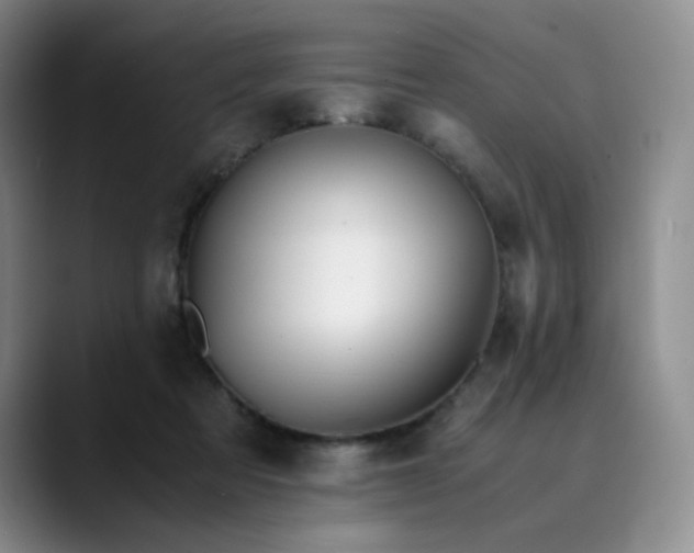 X0000089890313200707121836