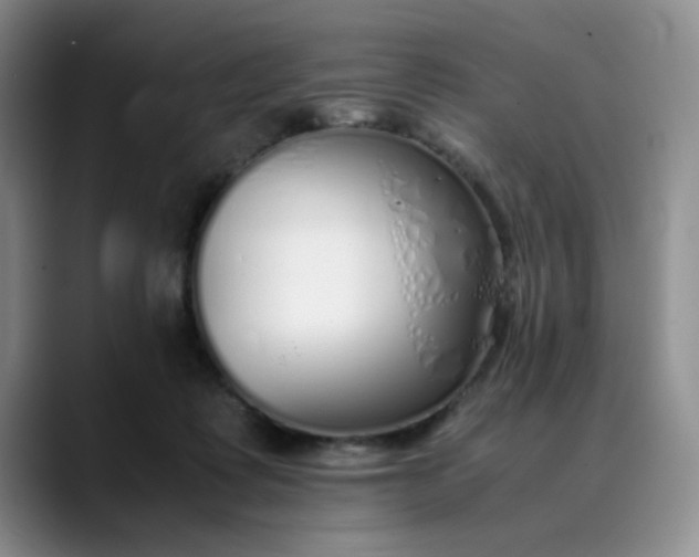 X0000089890315200707121836