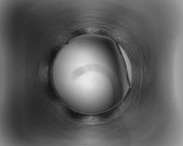 X0000089890319200707121836