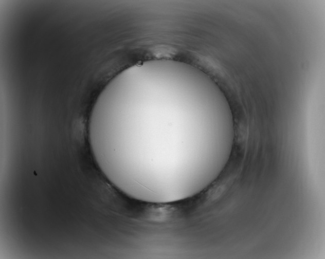 X0000089890321200707121836