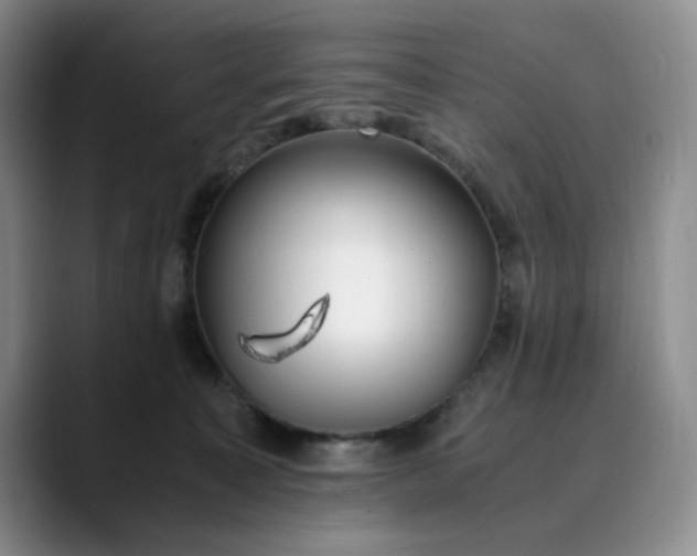 X0000089890323200707121836