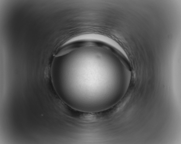 X0000089890325200707121836