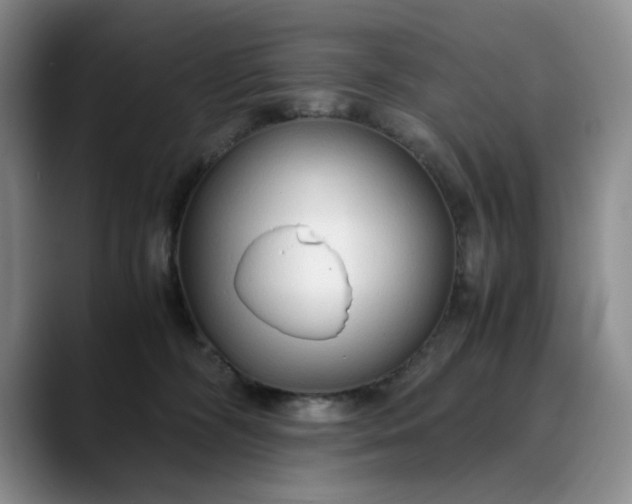 X0000089890326200707121836