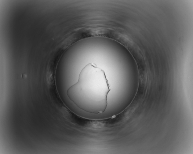 X0000089890327200707121836