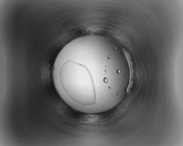 X0000089890328200707121836