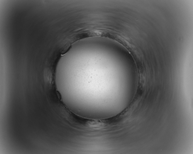 X0000089890331200707121835