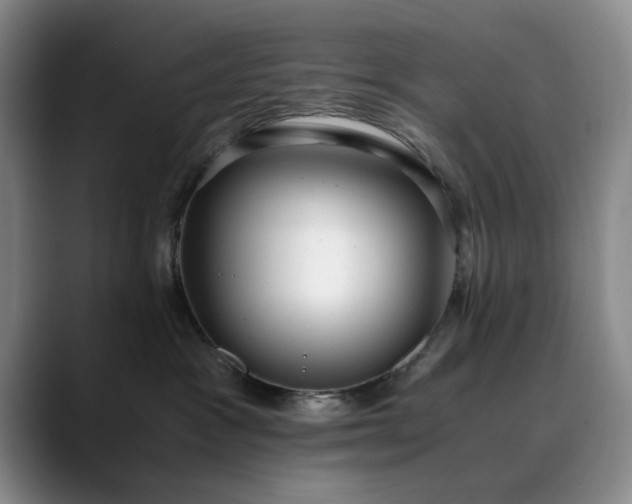 X0000089890333200707121835