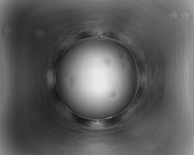 X0000089890335200707121835