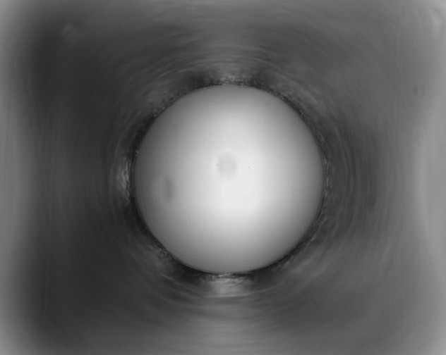 X0000089890336200707121835