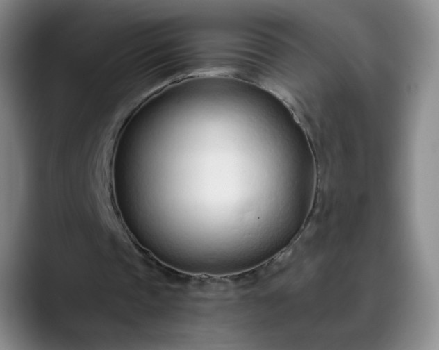 X0000089890337200707121835