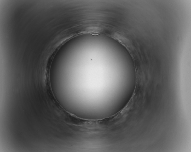 X0000089890338200707121835