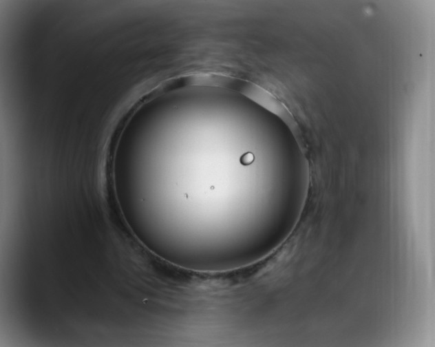 X0000089890340200707121835