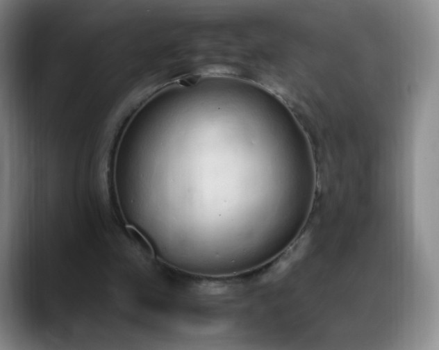 X0000089890341200707121835