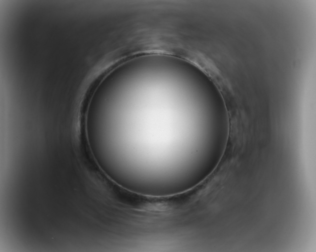 X0000089890344200707121835