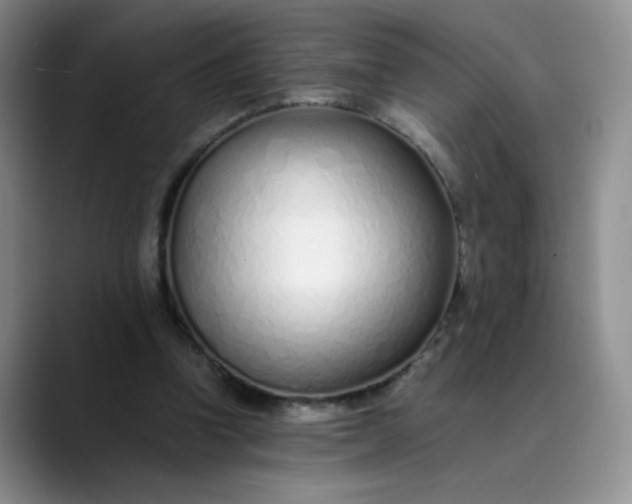 X0000089890346200707121835