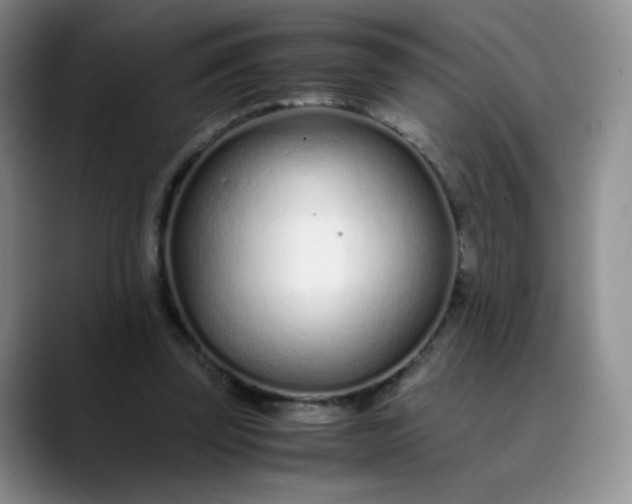 X0000089890347200707121835