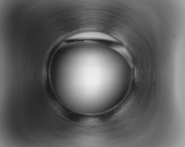 X0000089890348200707121835