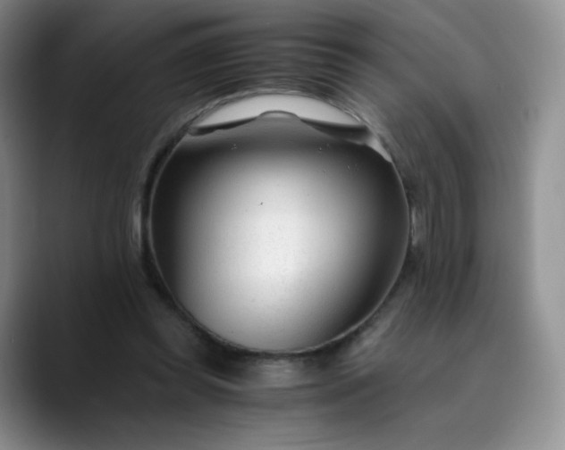 X0000089890349200707121835