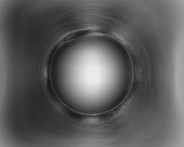 X0000089890350200707121835