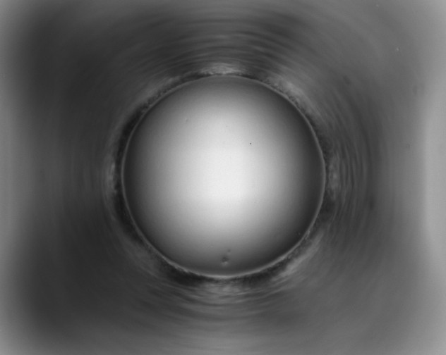 X0000089890351200707121835