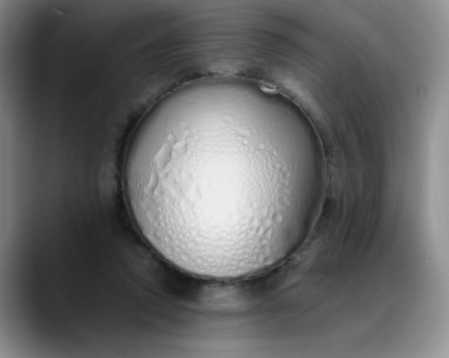 X0000089890354200707121835