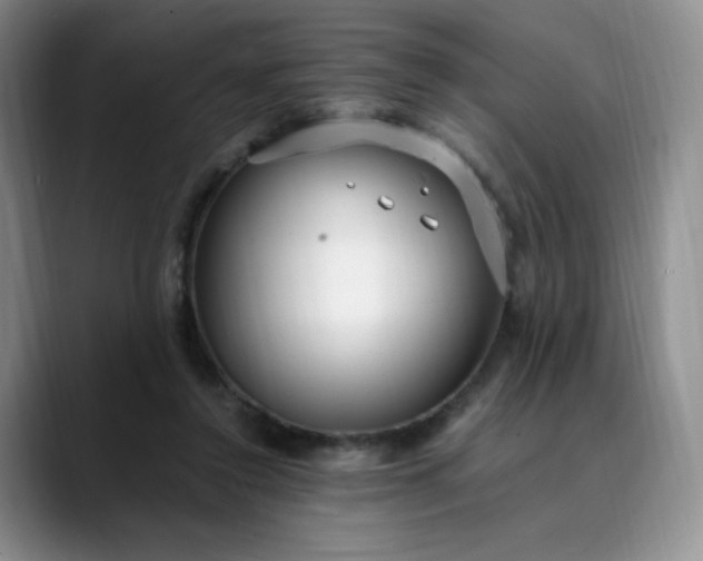 X0000089890356200707121835