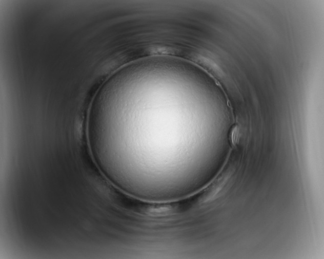 X0000089890357200707121835