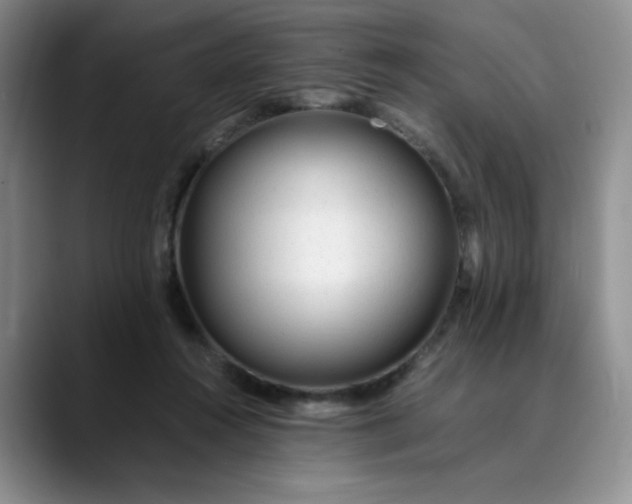 X0000089890360200707121835