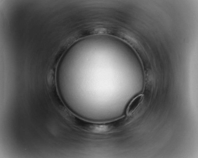 X0000089890361200707121835