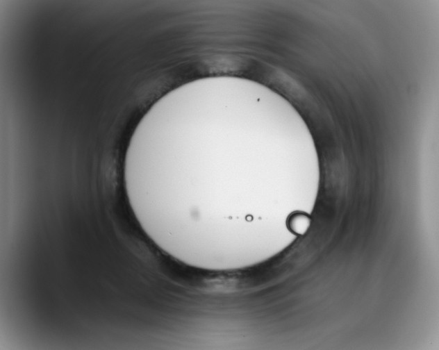 X0000089890362200707121835