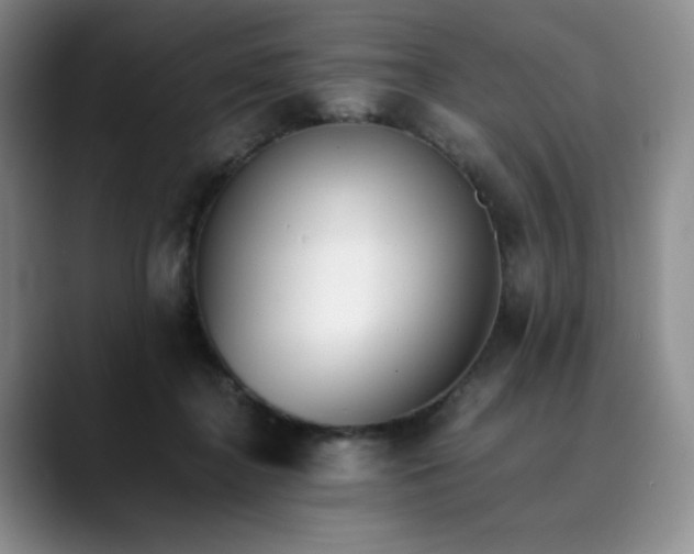 X0000089890364200707121835