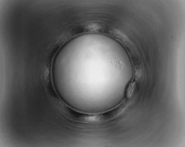 X0000089890365200707121835