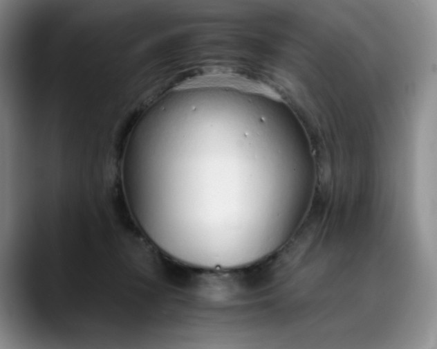 X0000089890367200707121835