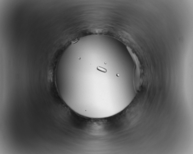 X0000089890368200707121835