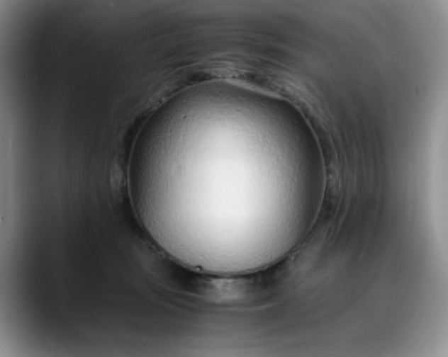 X0000089890371200707121835