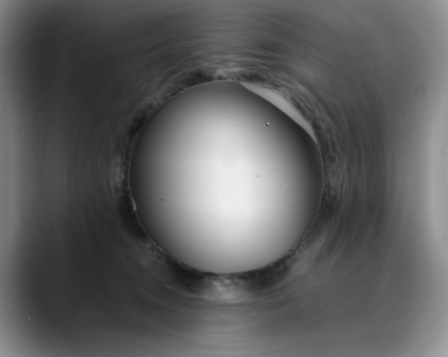 X0000089890372200707121835