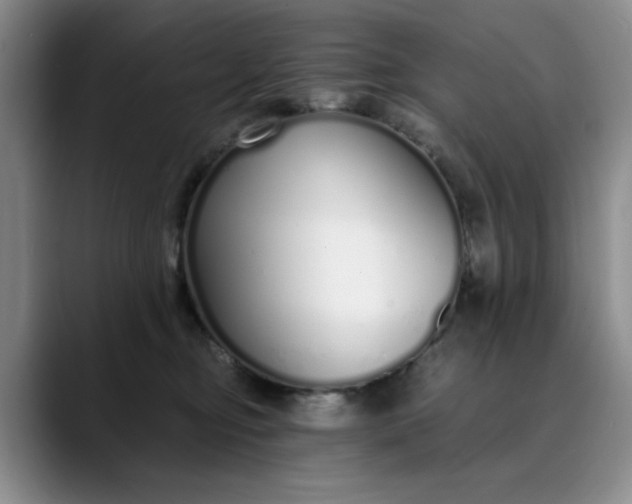 X0000089890374200707121835