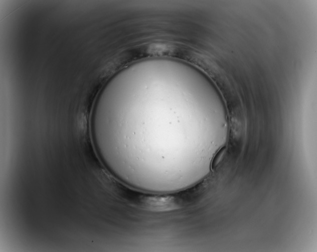 X0000089890375200707121835