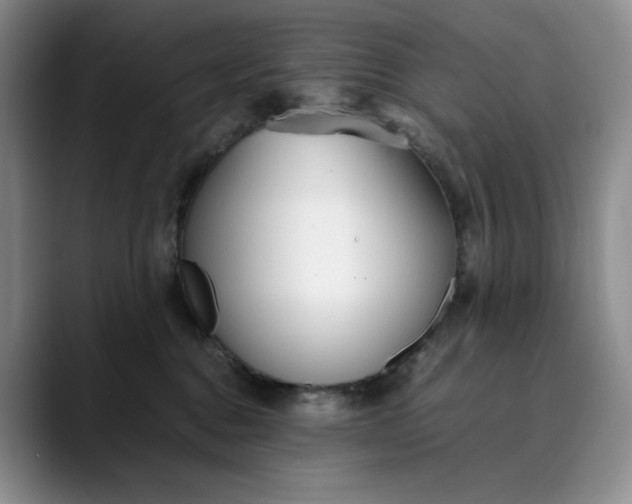 X0000089890376200707121835