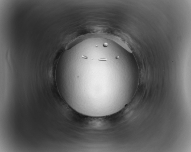 X0000089890377200707121835